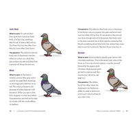 A Pocket Guide to Pigeon Watching: Getting to Know the World's Most Misunderstood Bird