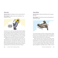 A Pocket Guide to Pigeon Watching: Getting to Know the World's Most Misunderstood Bird