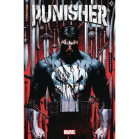 Punisher #1