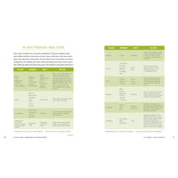 Raised Bed Gardening for Beginners