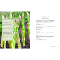 Raised Bed Gardening for Beginners