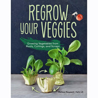 Regrow Your Veggies