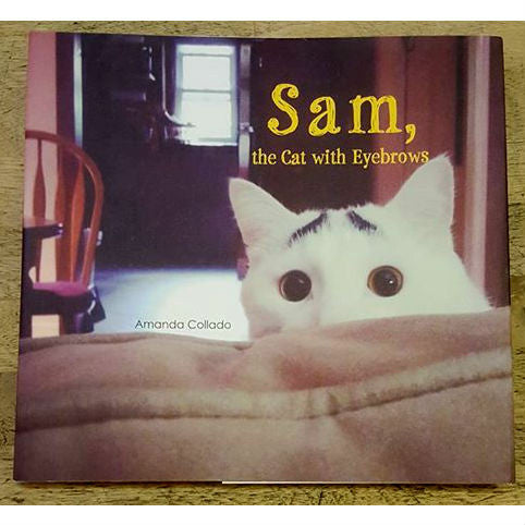 Sam, The Cat With Eyebrows