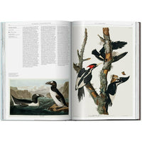 Science Illustration