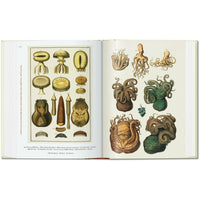 Seba. Cabinet of Natural Curiosities (40th Anniversary Edition)