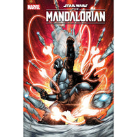 Star Wars The Mandalorian #3