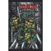 Teenage Mutant Ninja Turtles Complete Collection Vol. 5