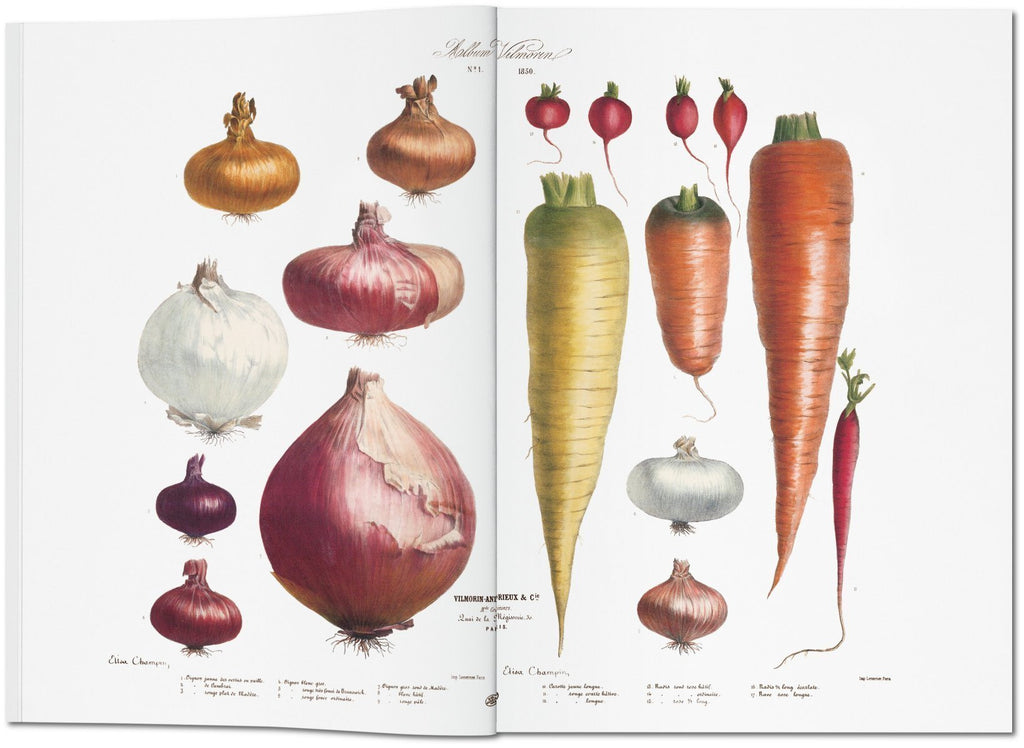 Taschen Album Vilmorin, The Vegetable Garden , The Complete Plates