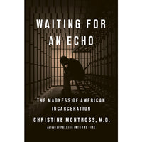 Waiting for an Echo: The Madness of American Incarceration