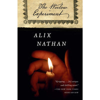 The Warlow Experiment: A Novel (paperback)