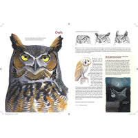 What It's Like to Be a Bird