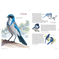 What It's Like to Be a Bird