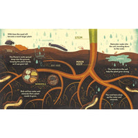 What's Inside A Flower?