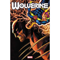 Wolverine #25