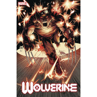Wolverine #3 (Regular)
