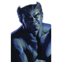 X-Force #13 (cover b)