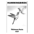 13 Facts #37: Hummingbirds