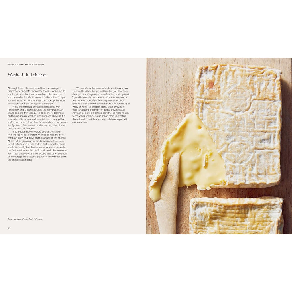 There's Always Room for Cheese: A Guide to Cheesemaking