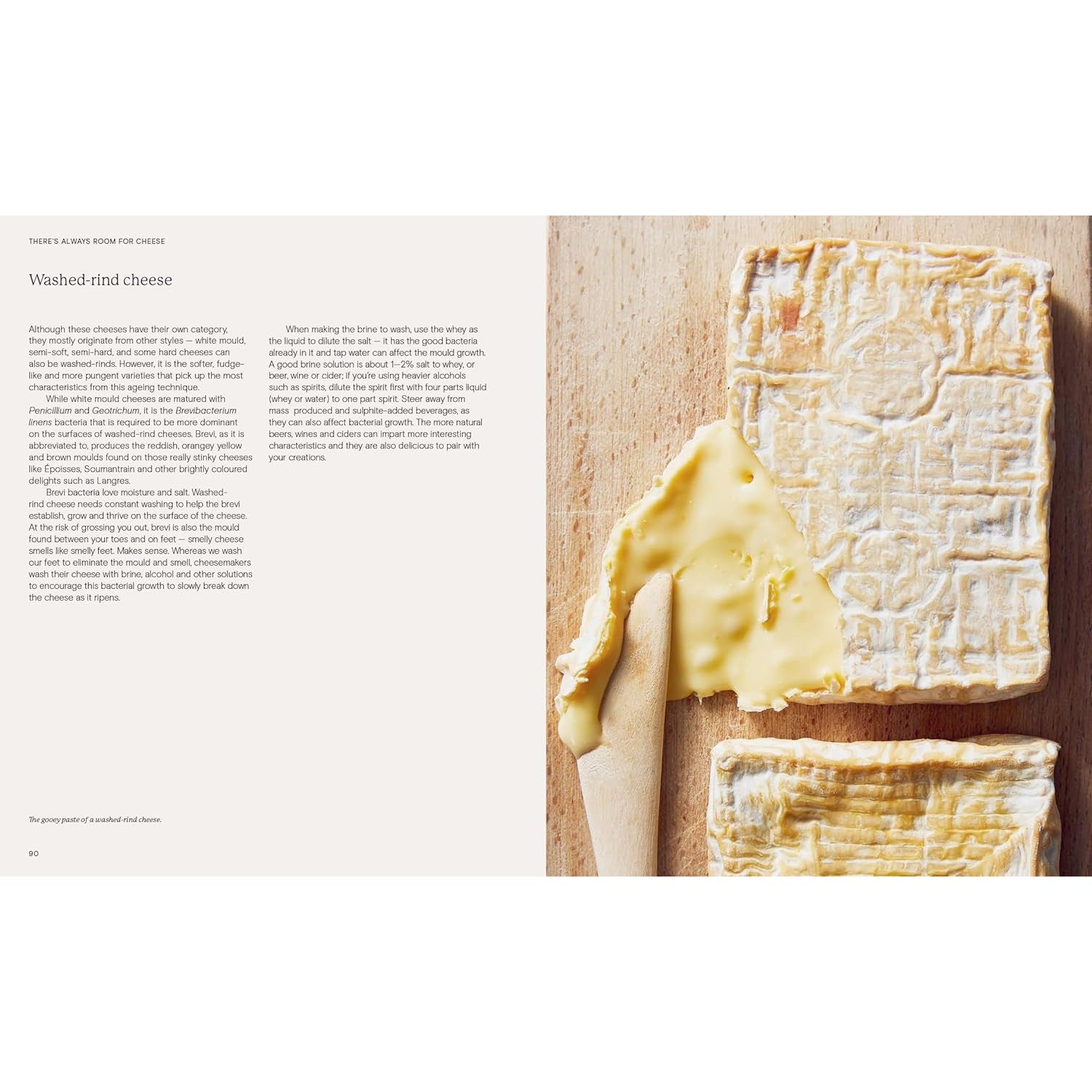 There's Always Room for Cheese: A Guide to Cheesemaking