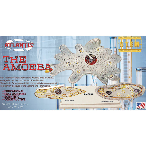 The Amazing Amoeba Educational Model Kit
