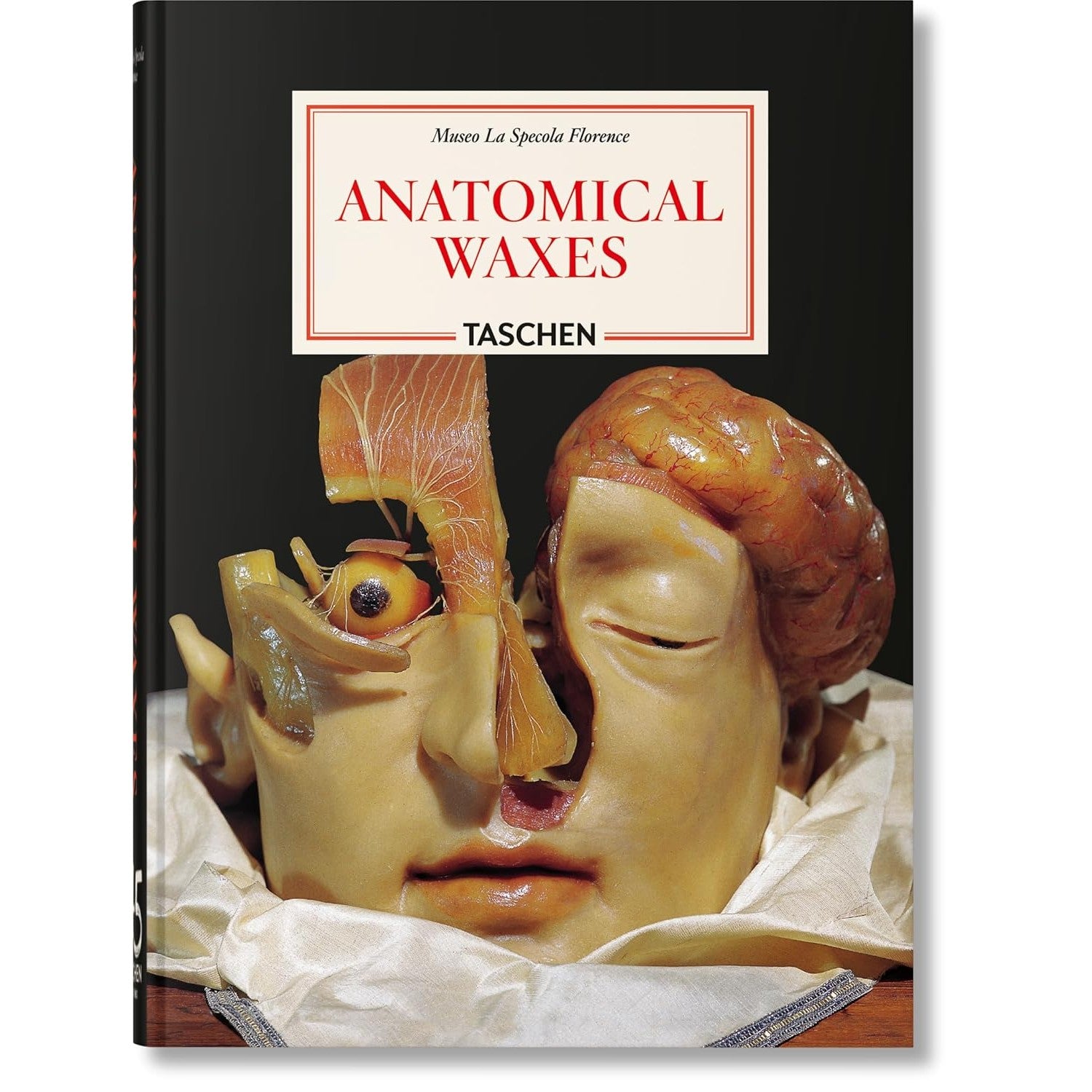 Anatomical Waxes