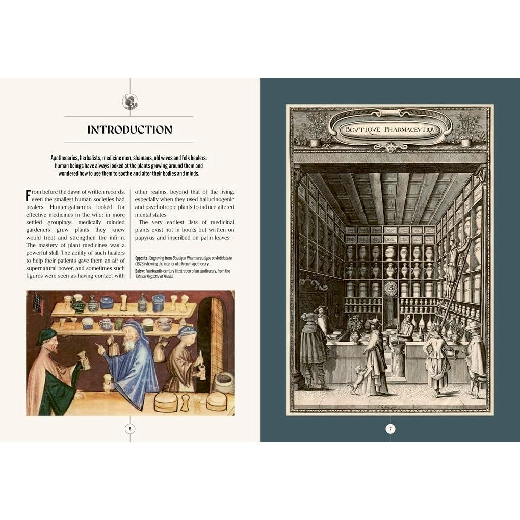 The Apothecary's Garden: The Science And Mythology Of Medicinal Plant