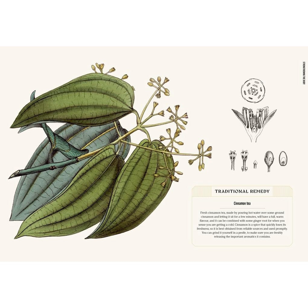 The Apothecary's Garden: The Science And Mythology Of Medicinal Plant