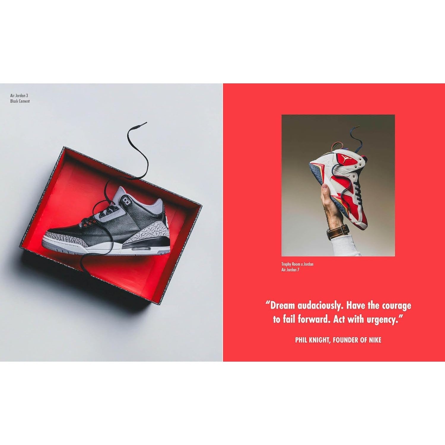 The Art of the Sneaker: Form and Function Through the Lens of a