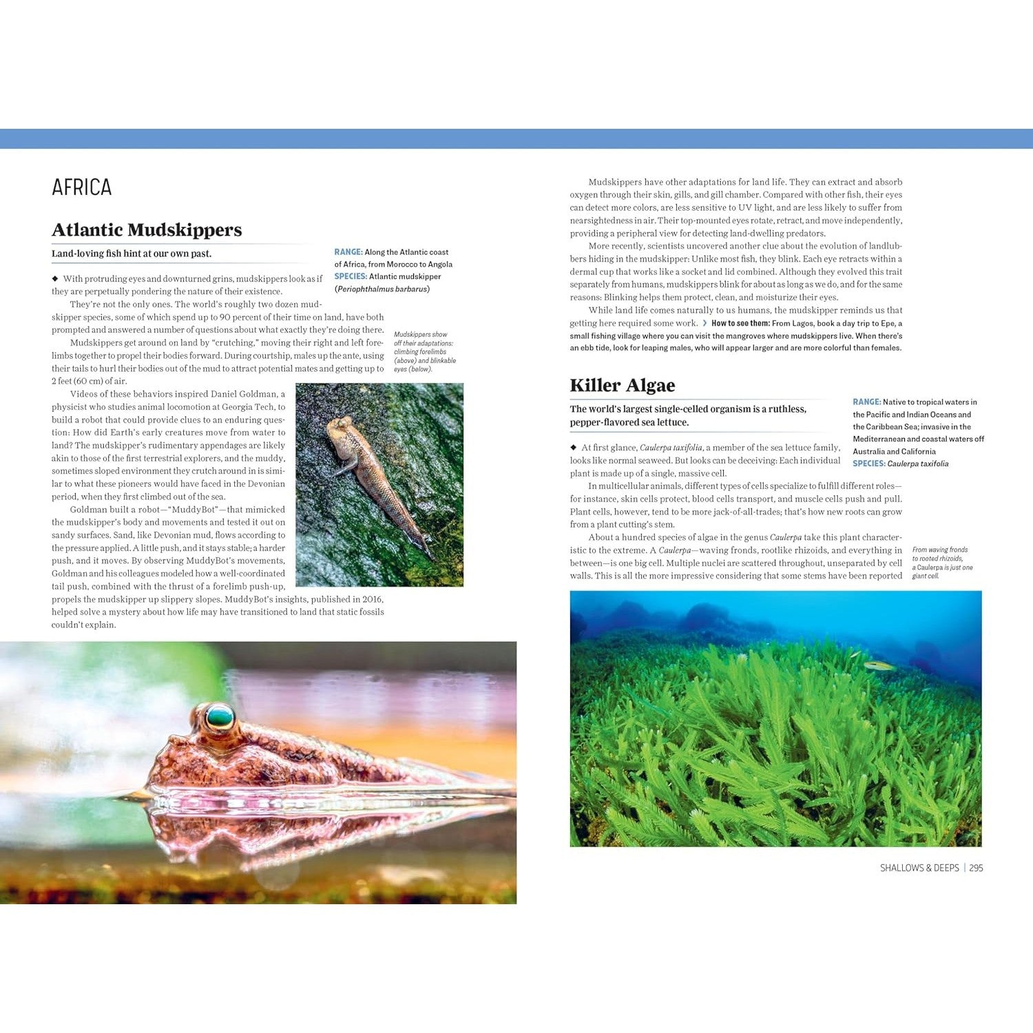 Atlas Obscura: Wild Life: An Explorer's Guide to the World's Living Wonders