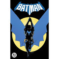 Batman Volume 1: Daylight