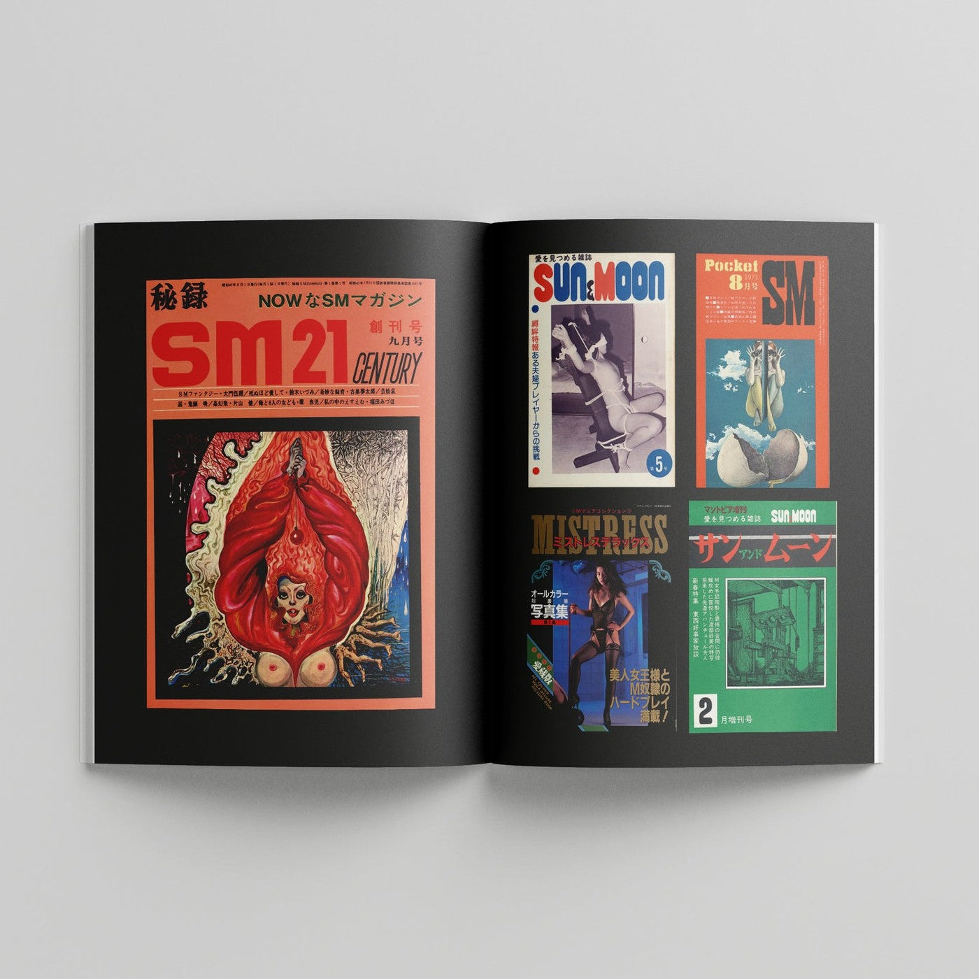 BDSM Magazines from Japan