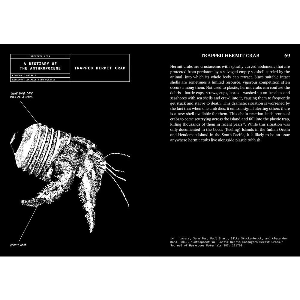 A Bestiary of the Anthropocene (compact edition)