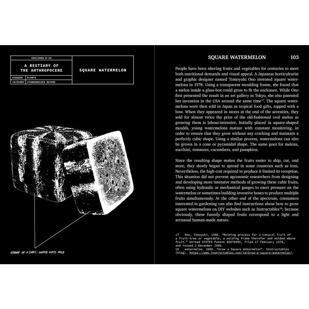 A Bestiary of the Anthropocene (compact edition)