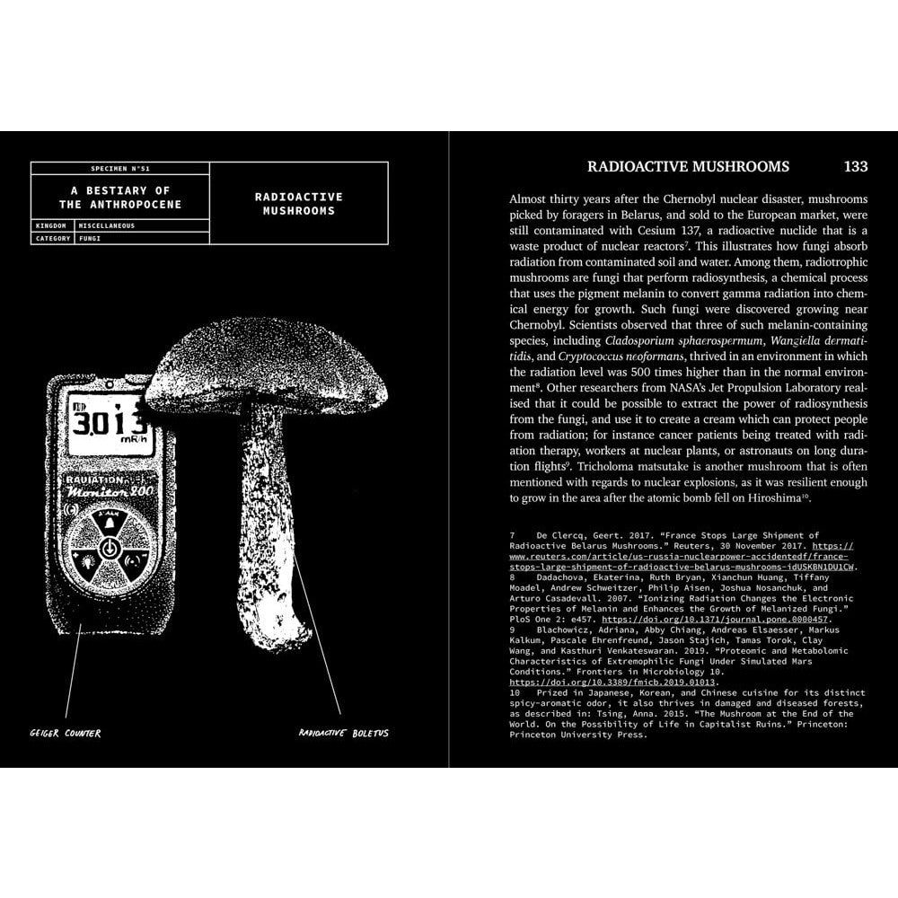 A Bestiary of the Anthropocene (compact edition)