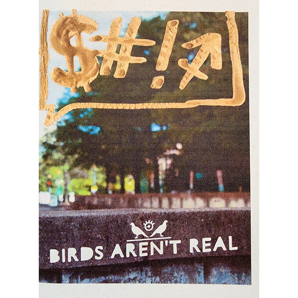 Birds Aren't Real Side A