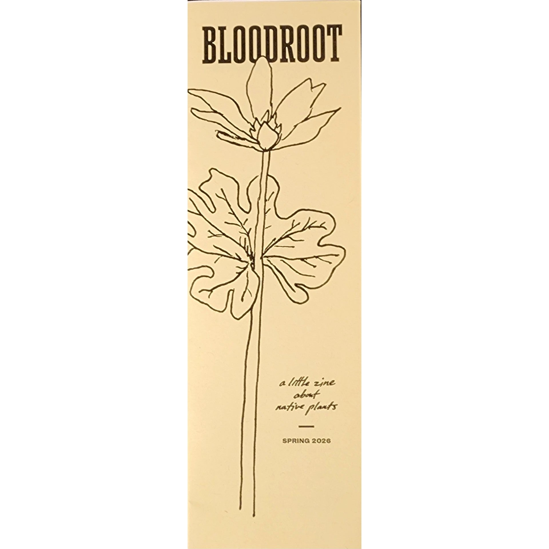 Bloodroot
