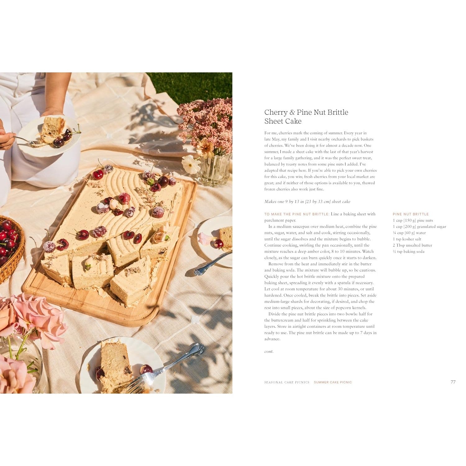 Cake Picnic: Recipes for the Love of Cake And Friends