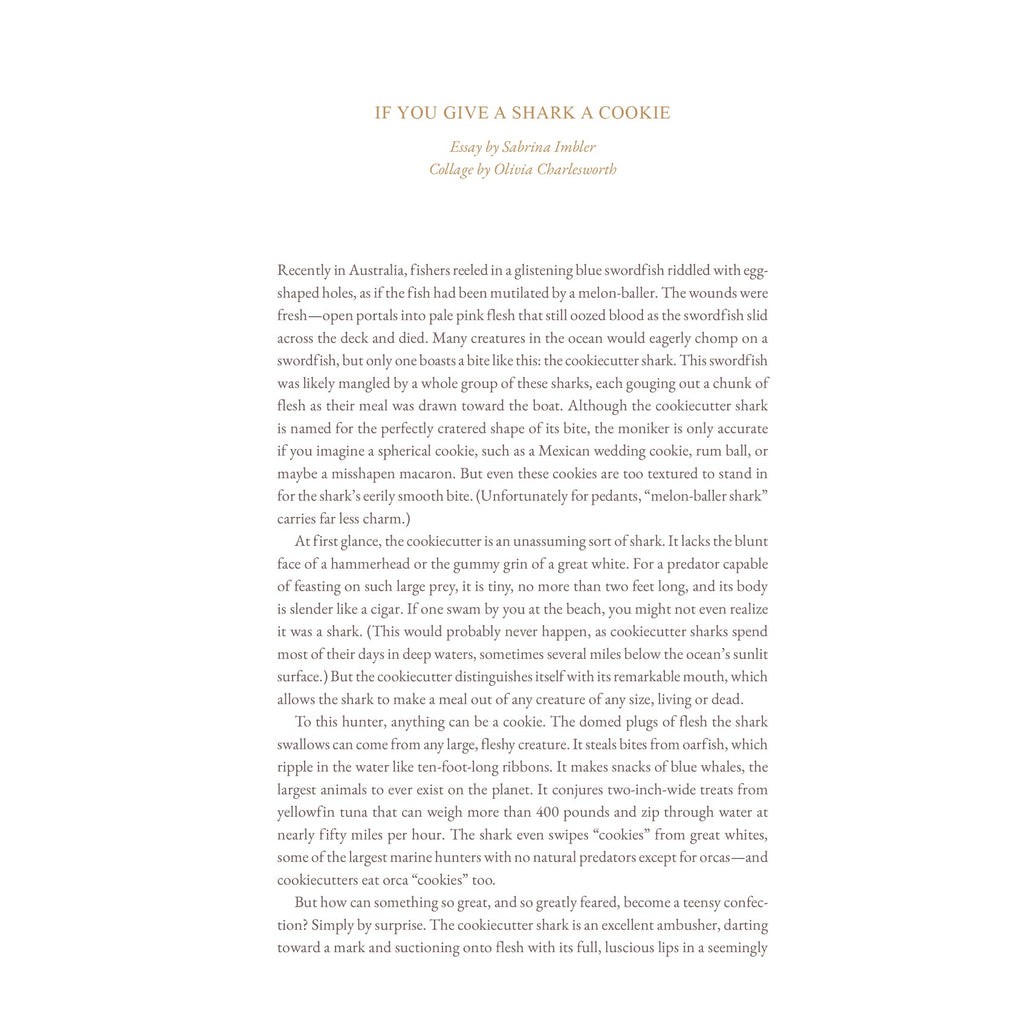 Cake Zine Volume 4: Tough Cookie