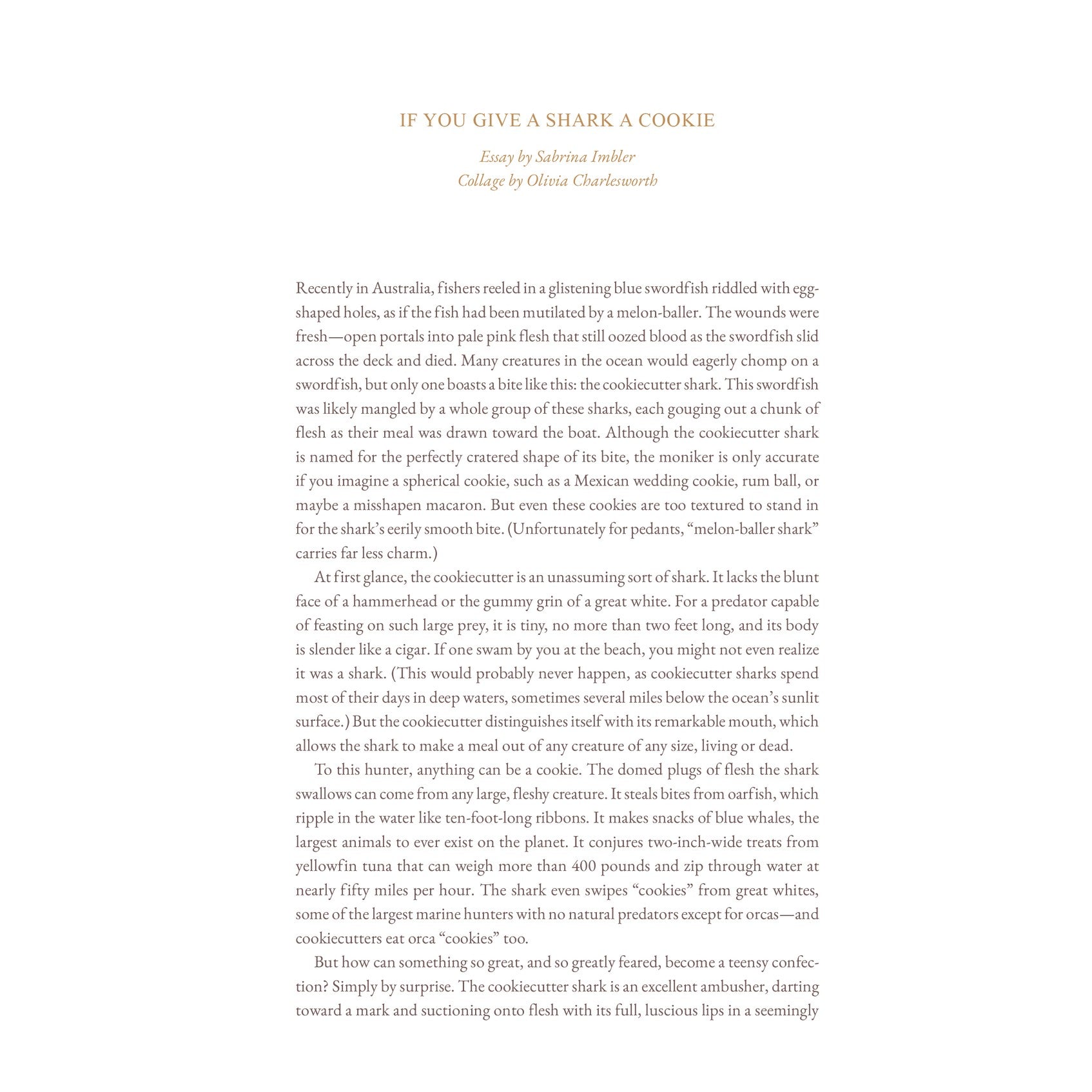 Cake Zine Volume 4: Tough Cookie