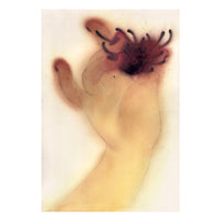 Cake Zine Volume 7: Forbidden Fruit