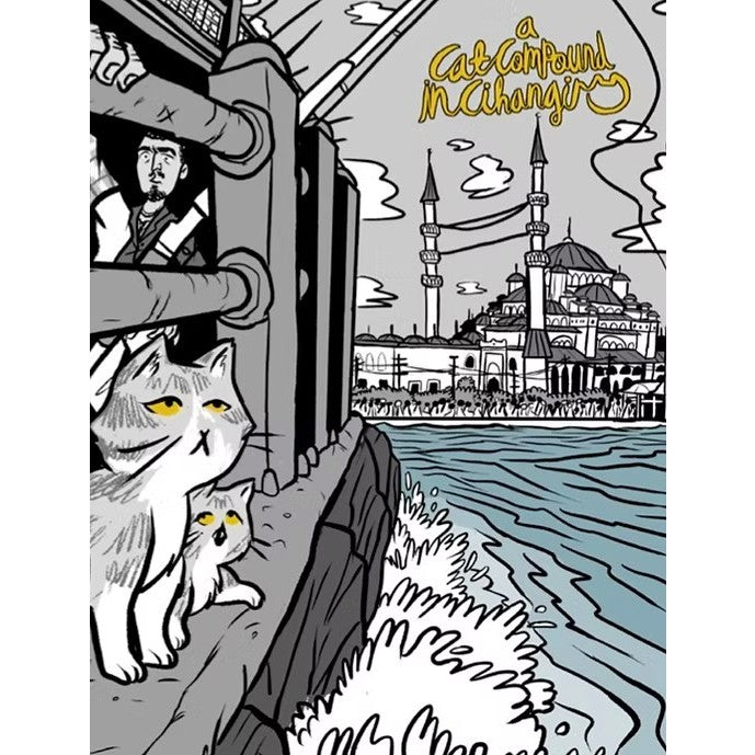 A Cat Compound in Cihangir