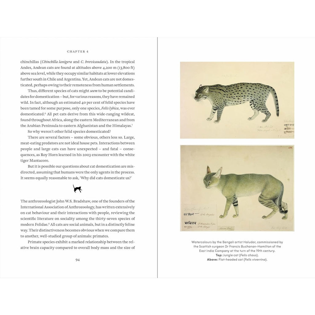 Cat Tales: A History