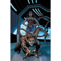Cheetah And Cheshire Rob The Justice League #5