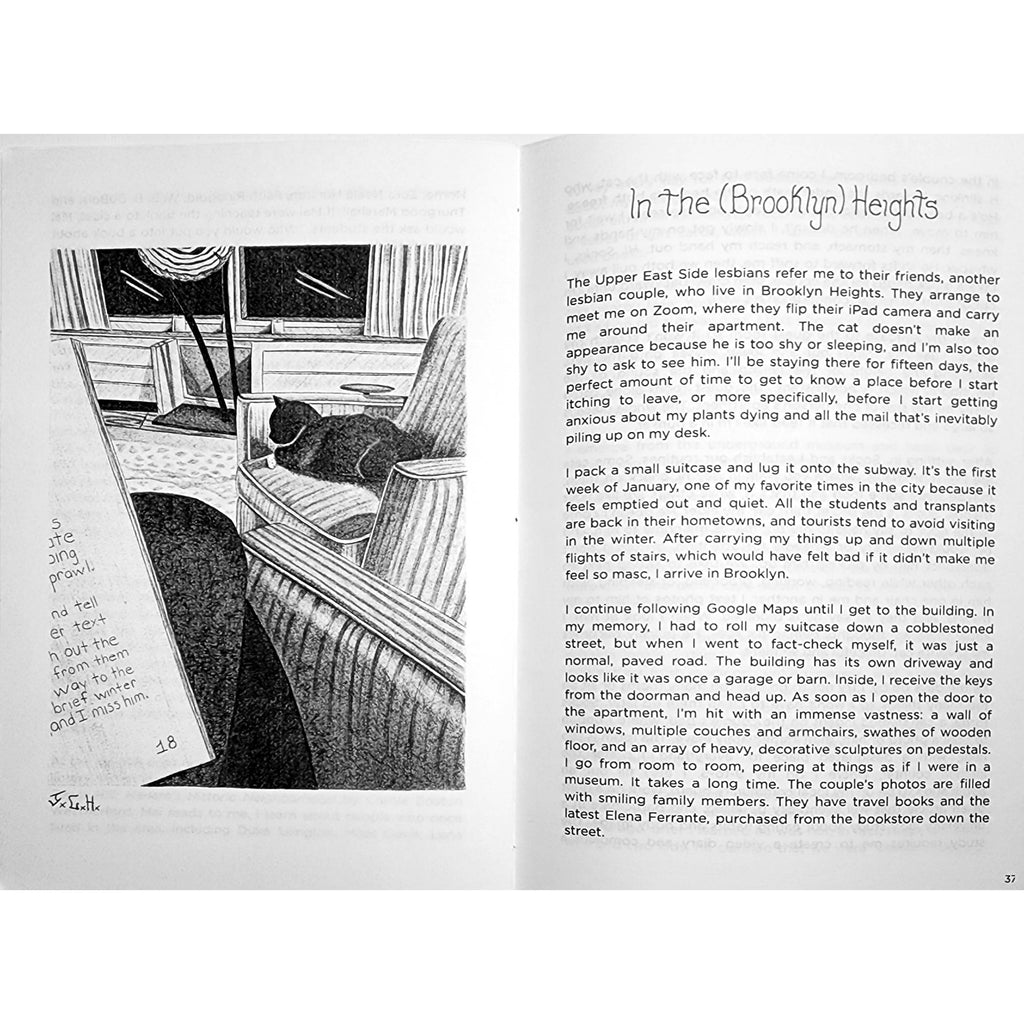 Chronicles Of A Catsitter