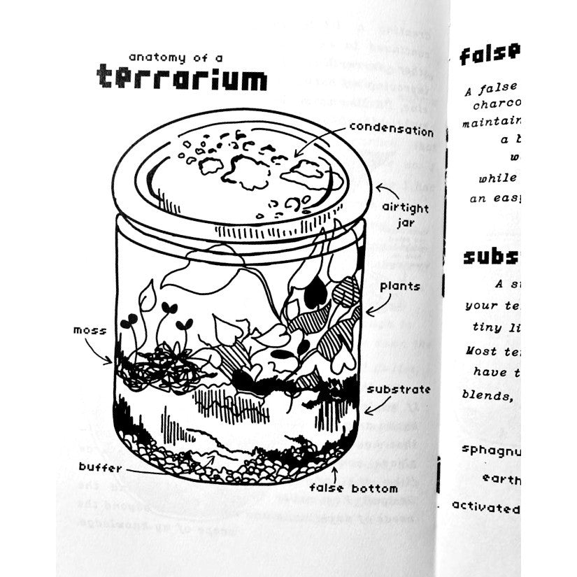 The catmothcrow Guide to Terrariums