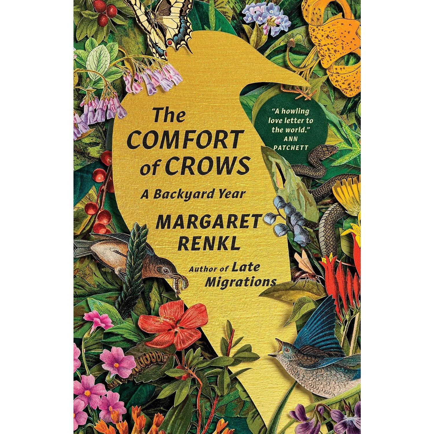 The Comfort of Crows: A Backyard Year