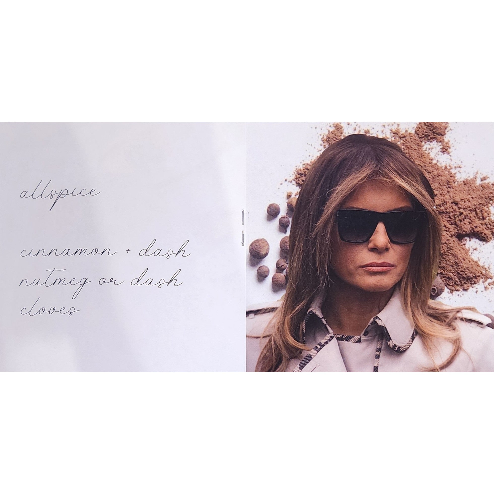 Woman wearing sunglasses with spices and herbs around her on a white background
