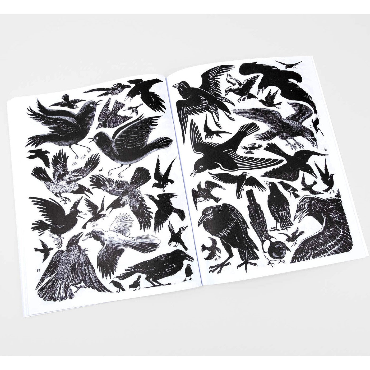 Crap Hound: Owls And Crows