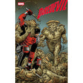 Daredevil #23