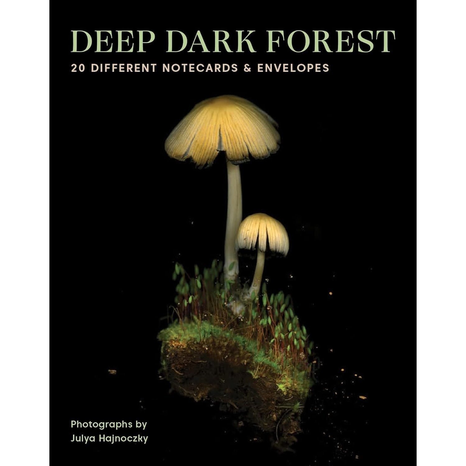 Deep Dark Forest Notescards Box Set